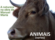 Manuel María: a natureza, os animais